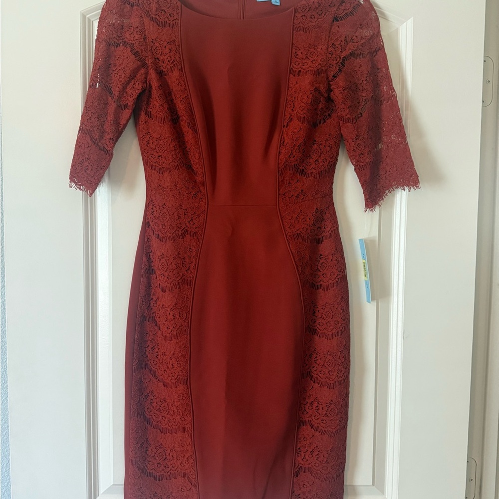 Elegant Lace Terracota colored Dress